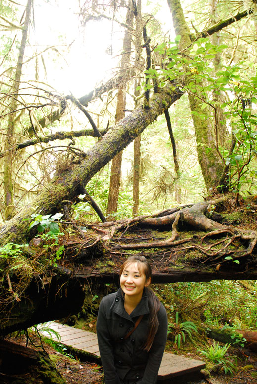 Exploring the rainforest